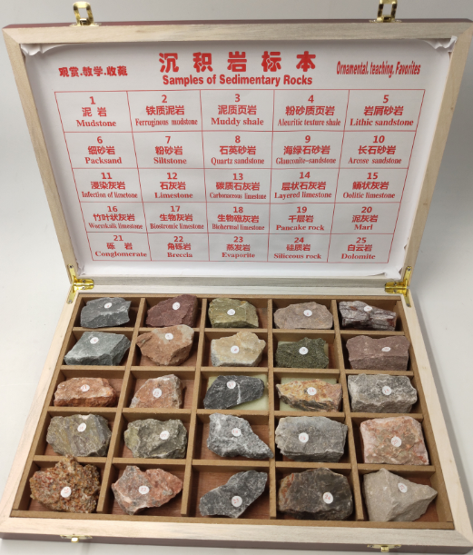 25种沉积岩